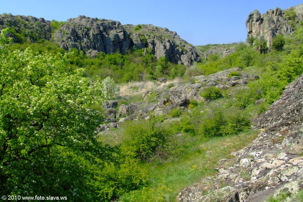 Весенняя зелень Актовского каньона
