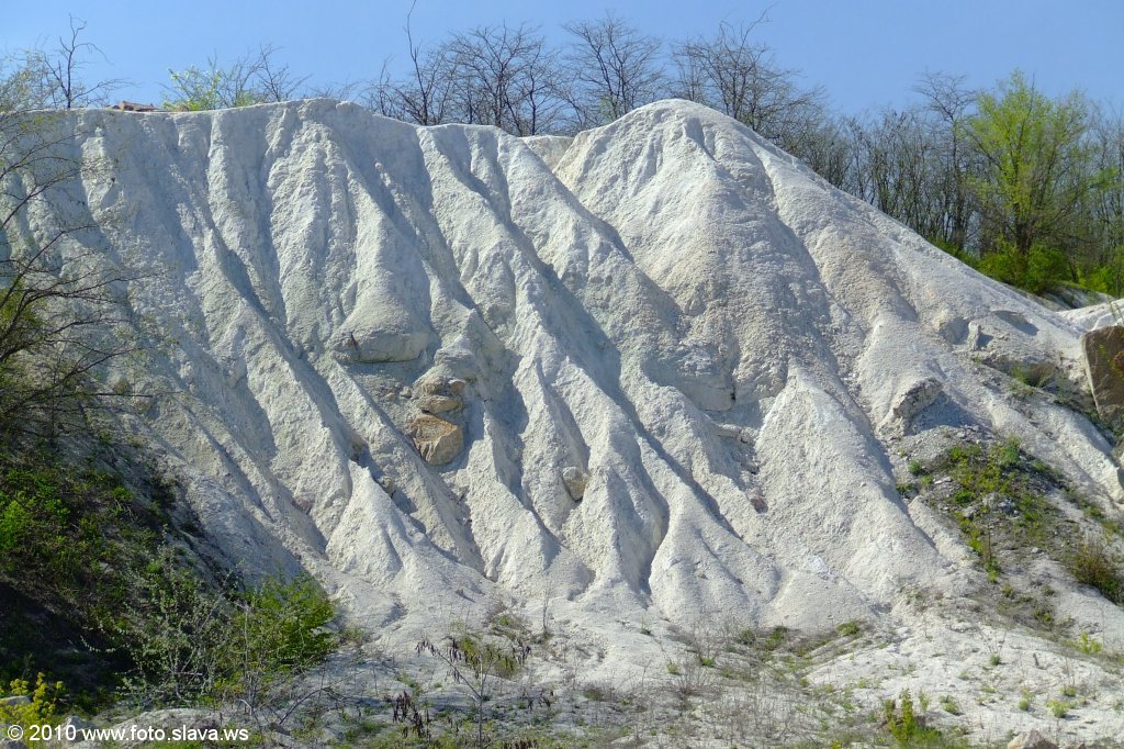 DSCF2527