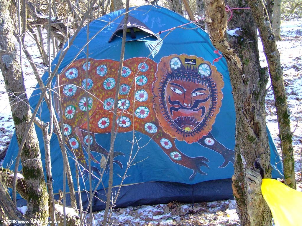 31 декабря 2008