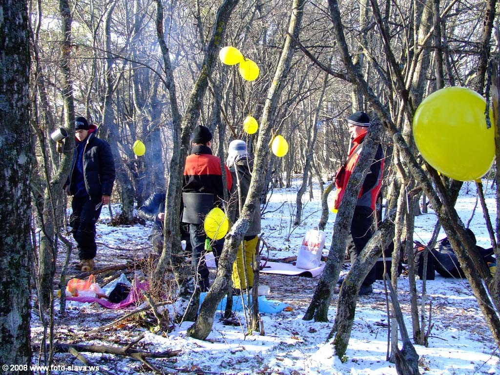 31 декабря 2008