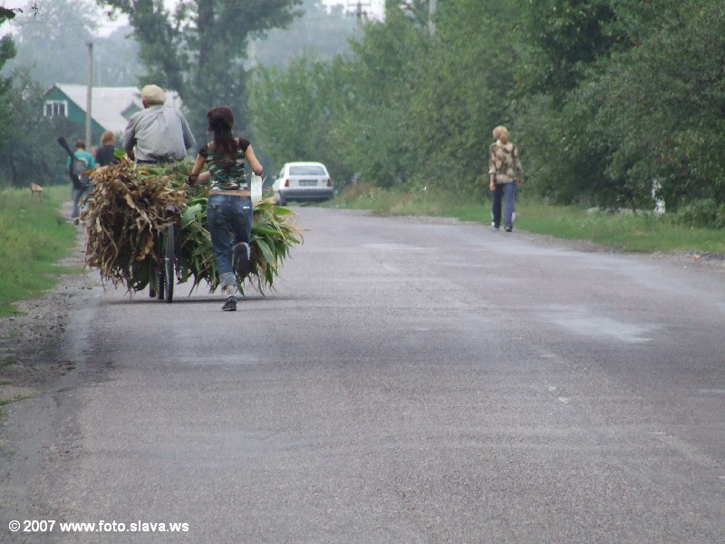 Осенняя Украинская Эльба 2007 г.
