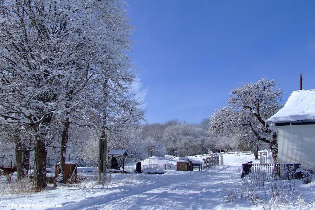 6 января 2009