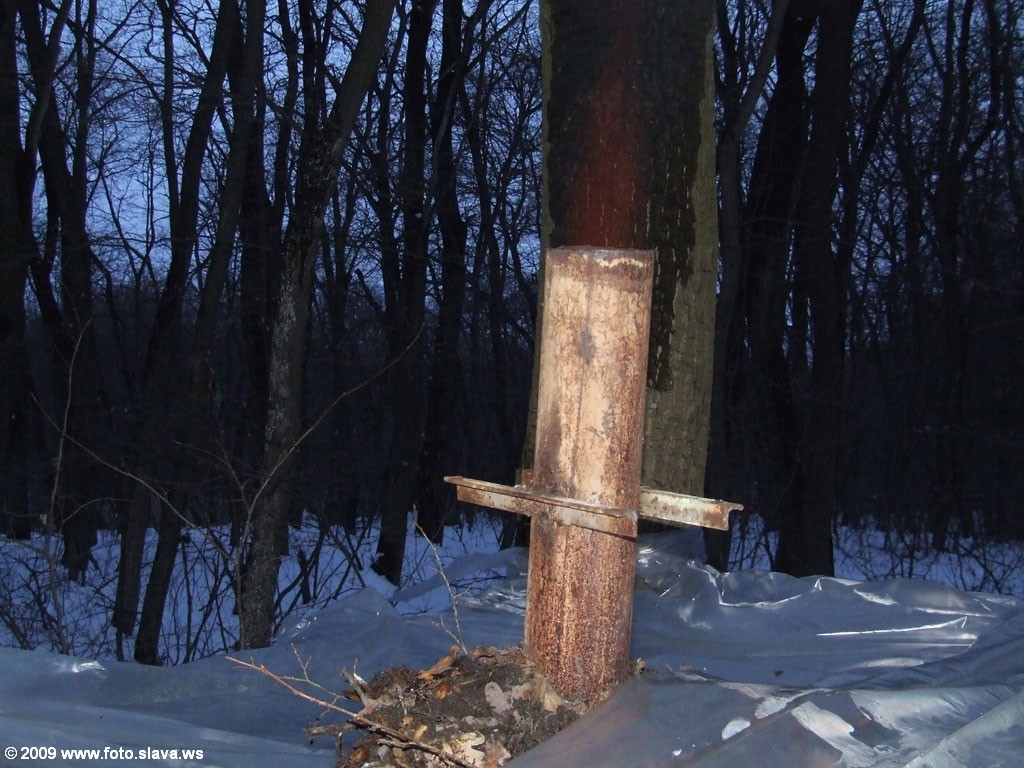 Зимняя Украинская Эльба 23-25 января 2009 г.