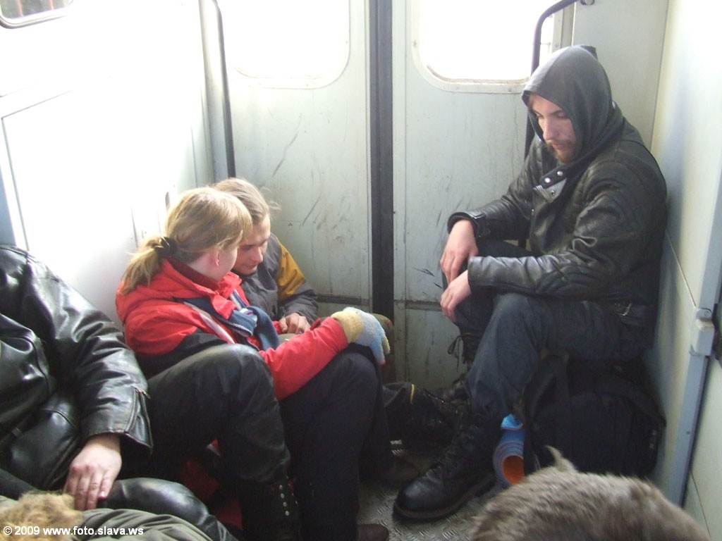 В тамбуре собаки на Днепр