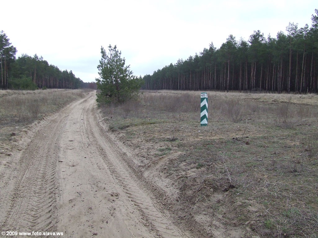 Дорога через лес