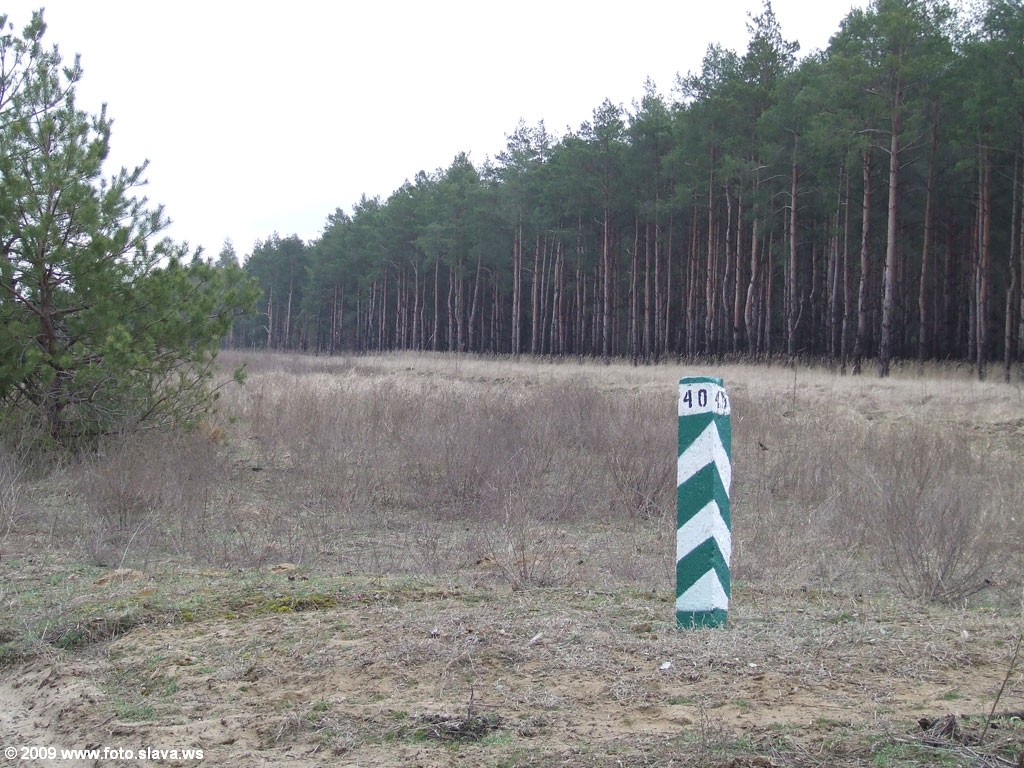 Лес ранней весной