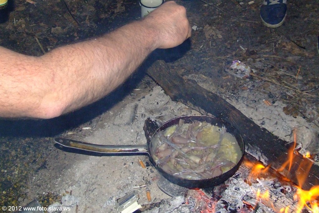 Весенняя Украинская Эльба 2012г.