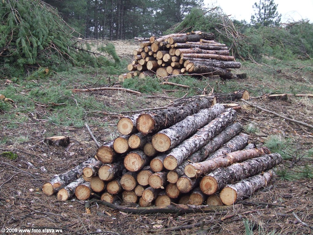 Больно на это смотреть