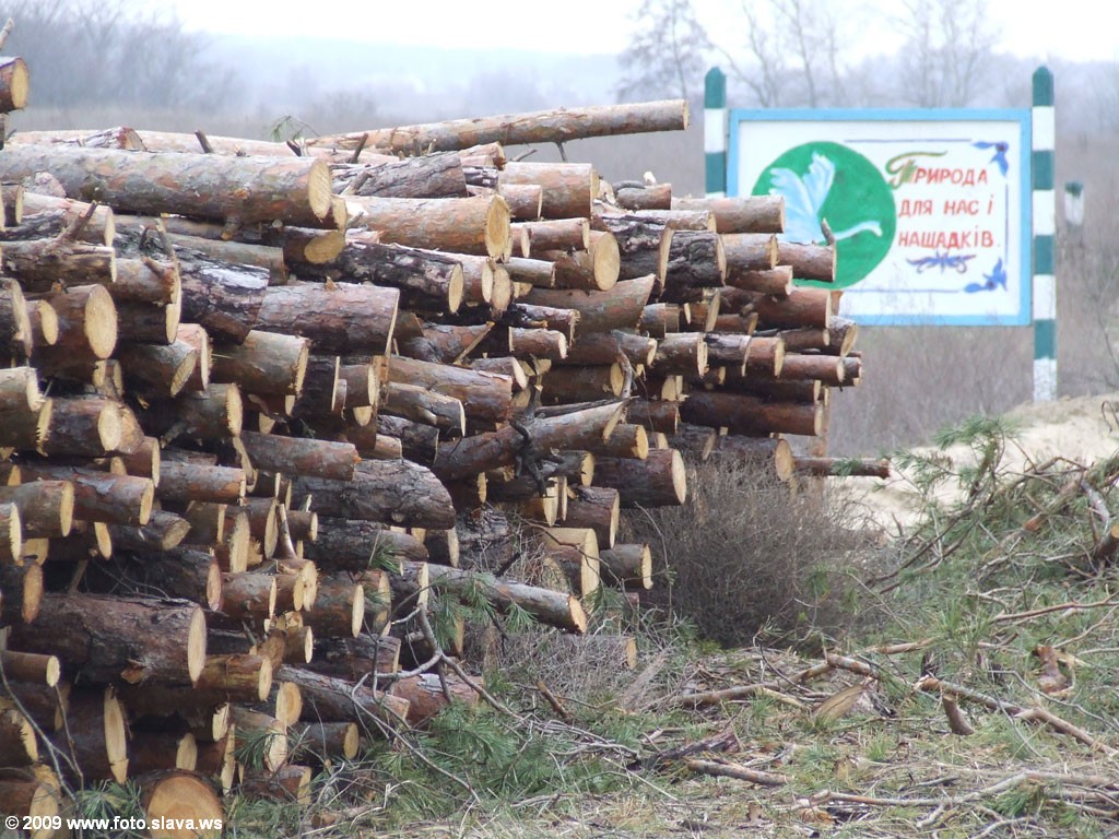 Плакат "Природа для нас и наших потомков". Не уверен, что потомкам достанется..