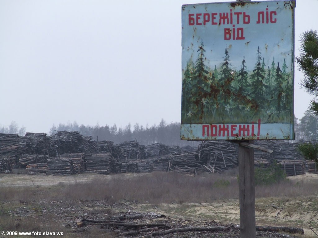 Берегите лес от пожара! Не уберегли