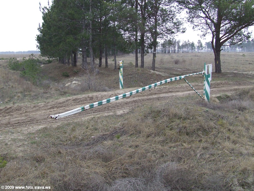 Въезд на лесозаготовку