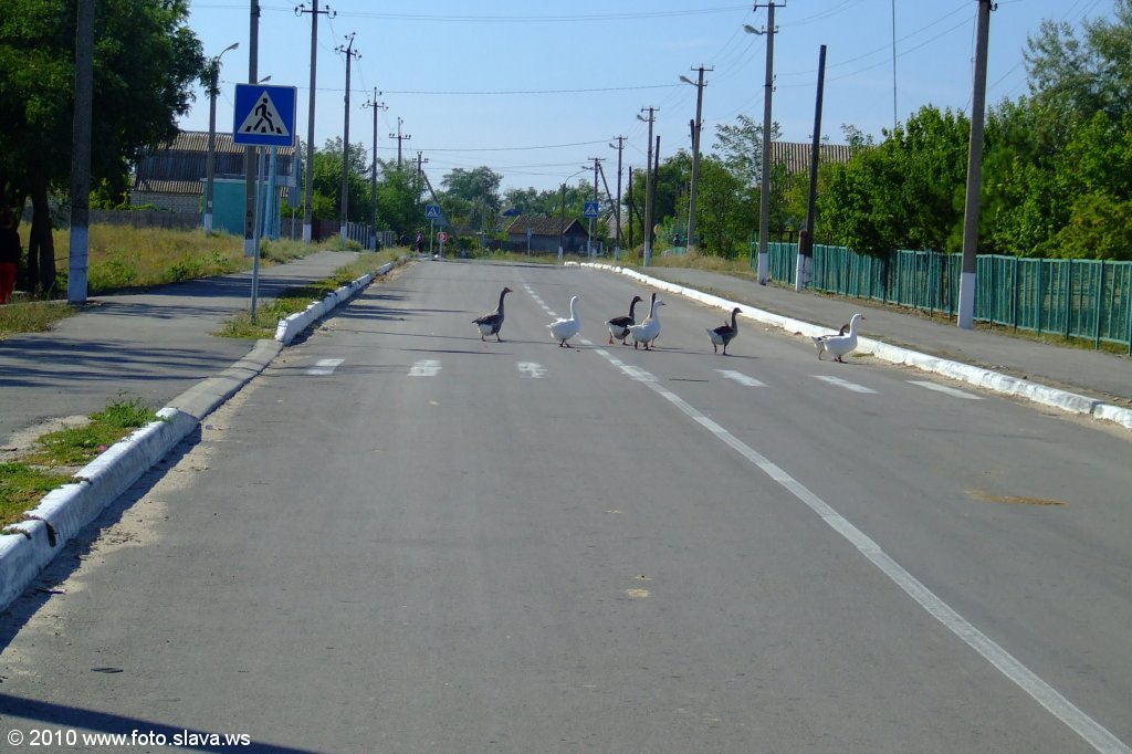 Геройское - улица