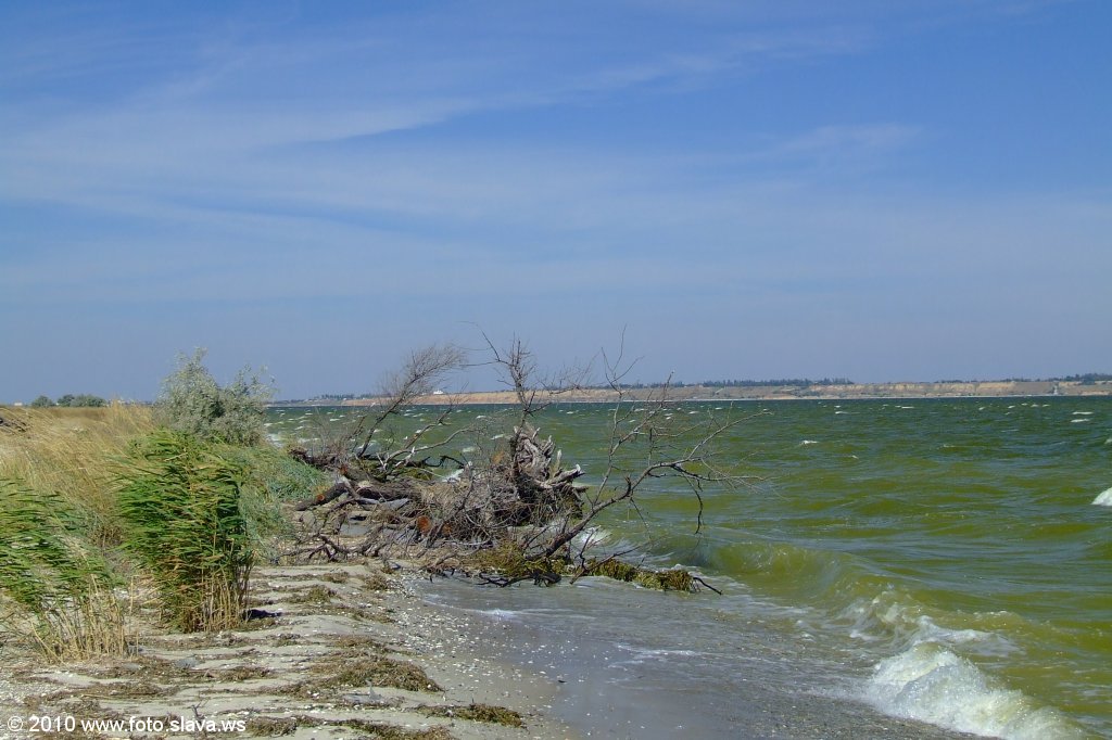 Кинбурнская коса