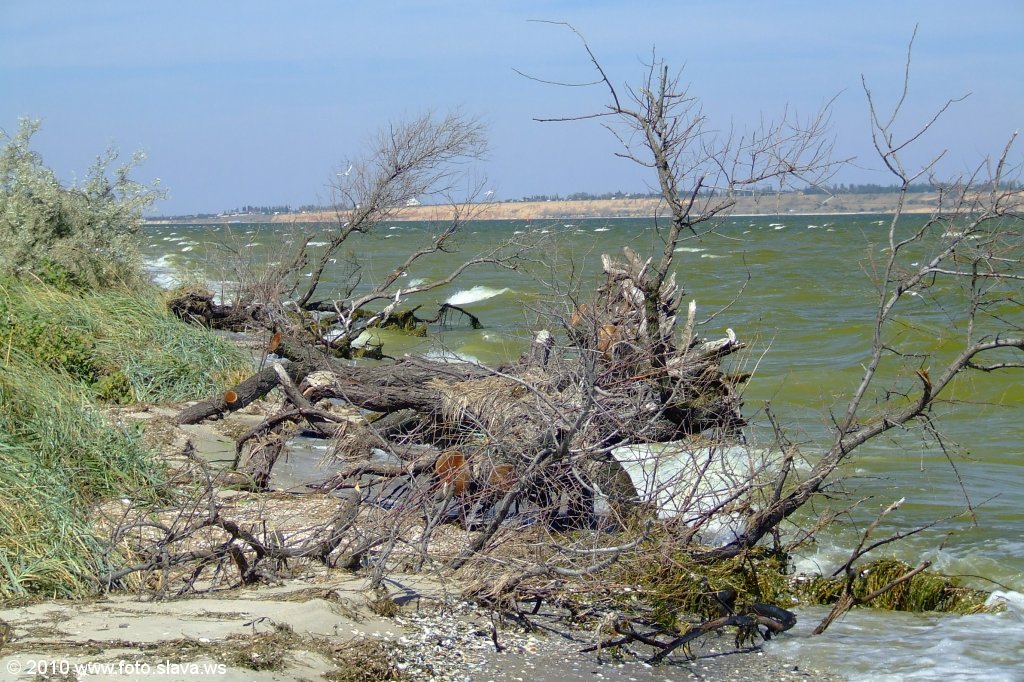 Кинбурнская коса