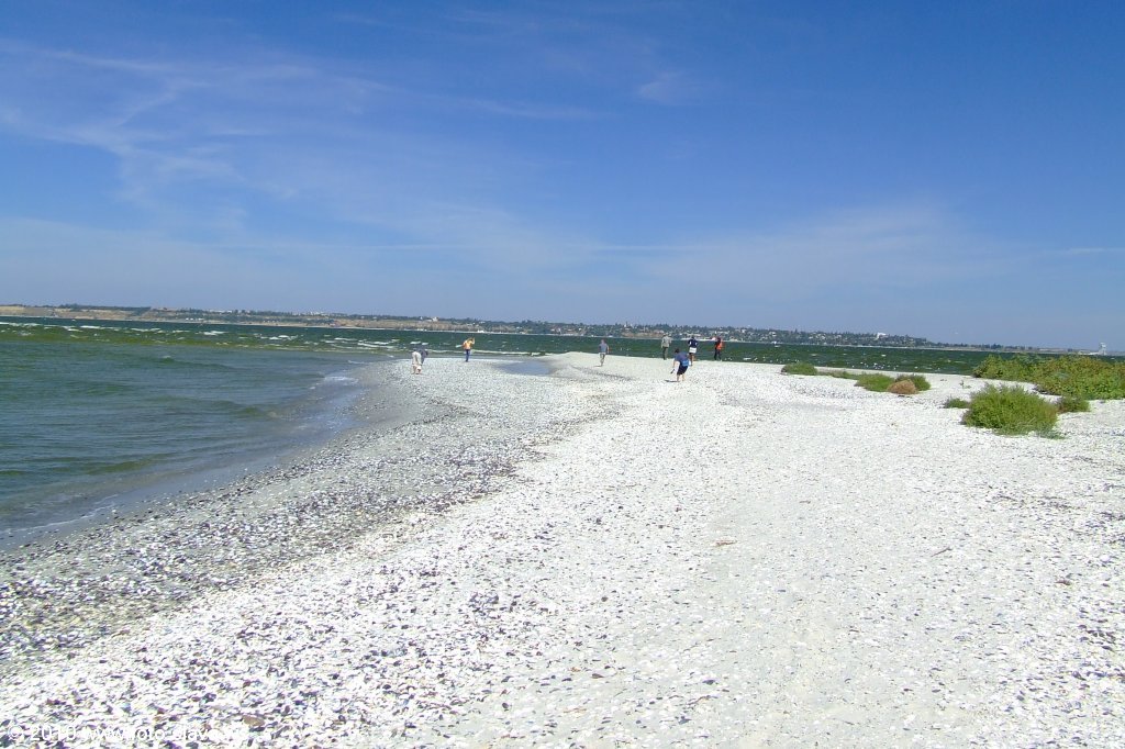 Кинбурнская коса