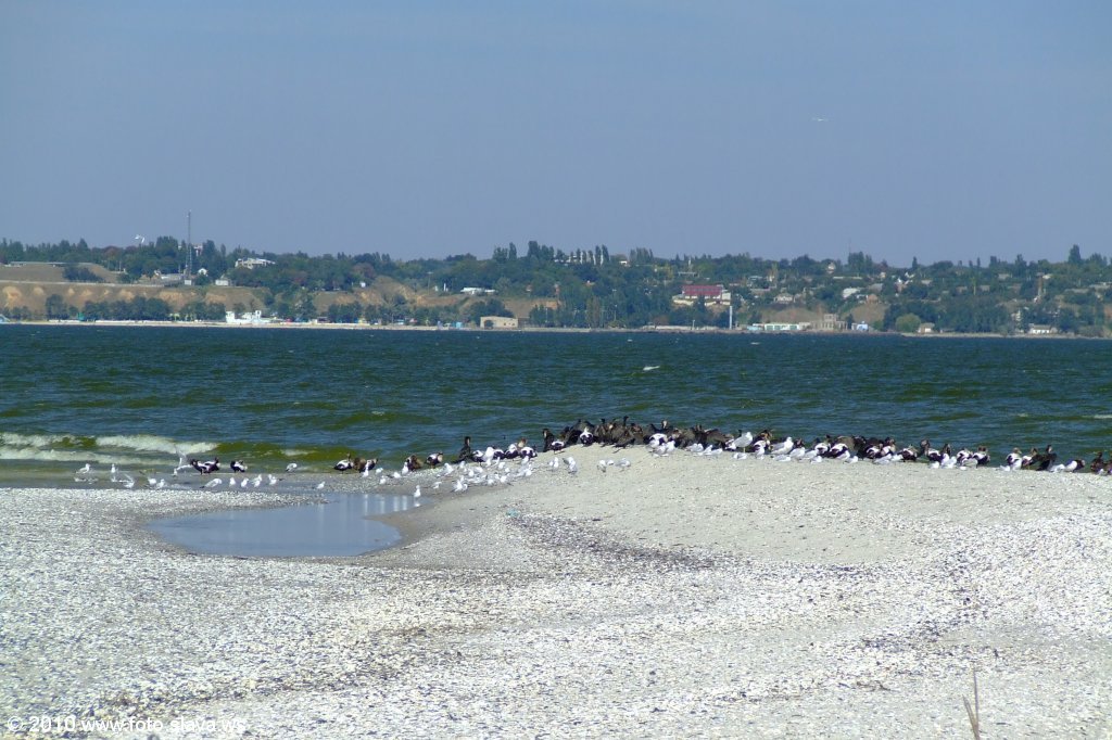 Кинбурнская коса