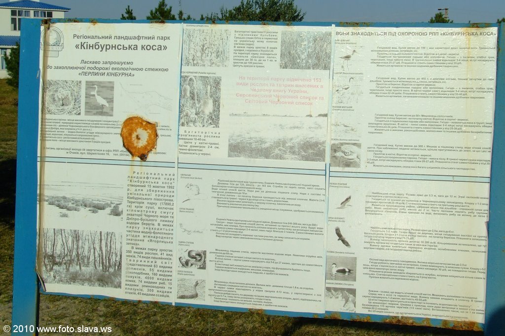 Кинбурнская коса