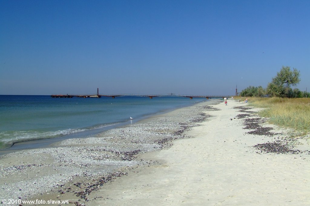 Кинбурнская коса