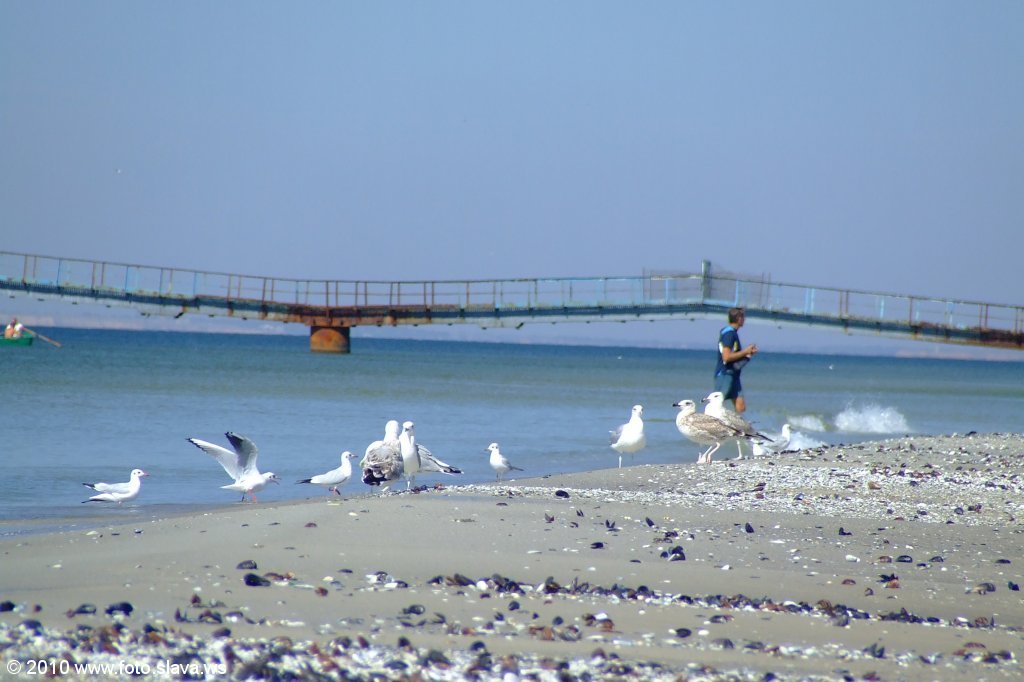 Кинбурнская коса