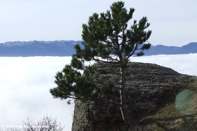 Димерджи, Крым