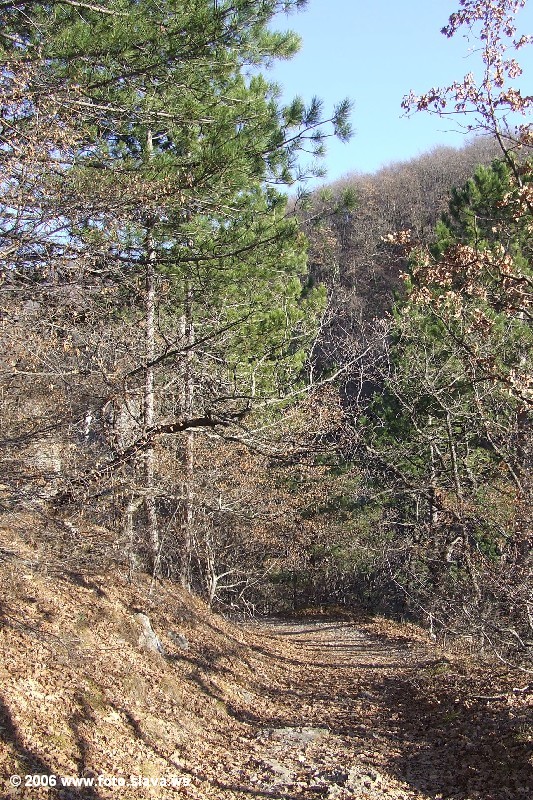 Тропинка к Большому каньону Крыма