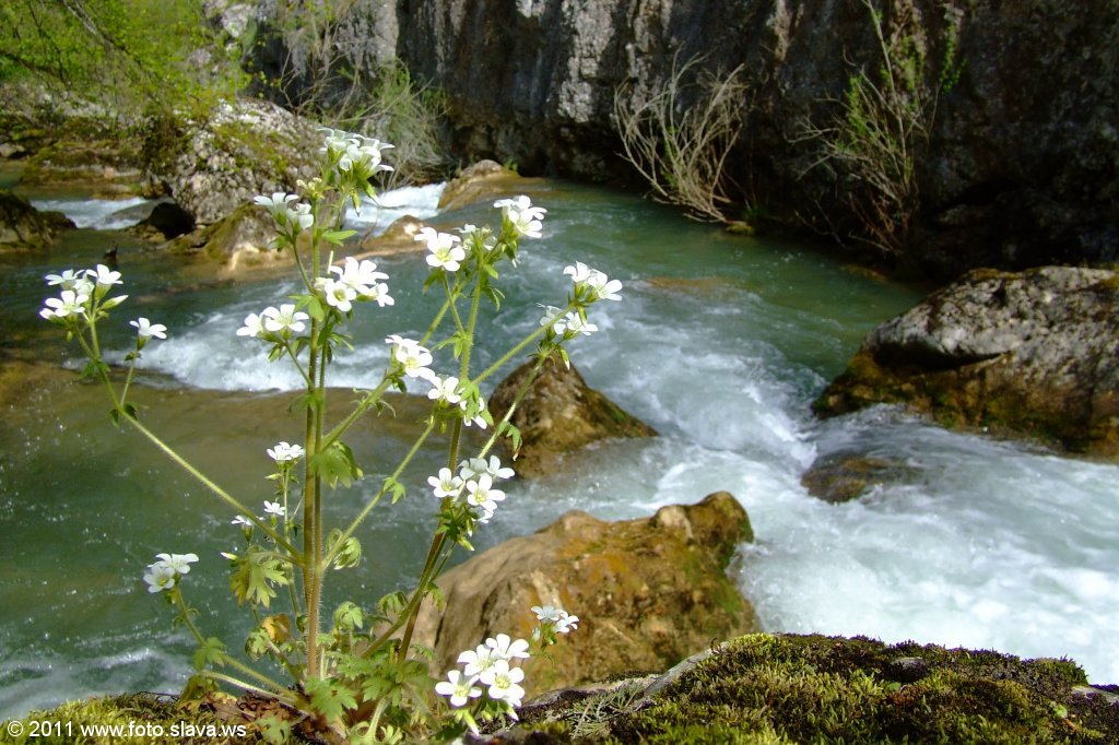 Крым. Чернореченский каньон