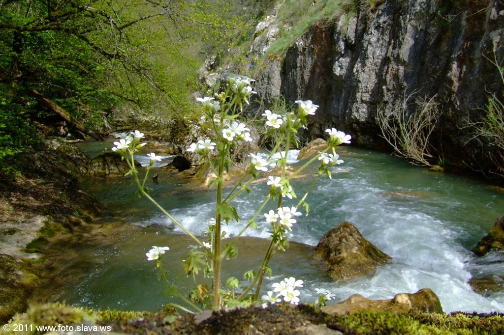 Крым. Чернореченский каньон