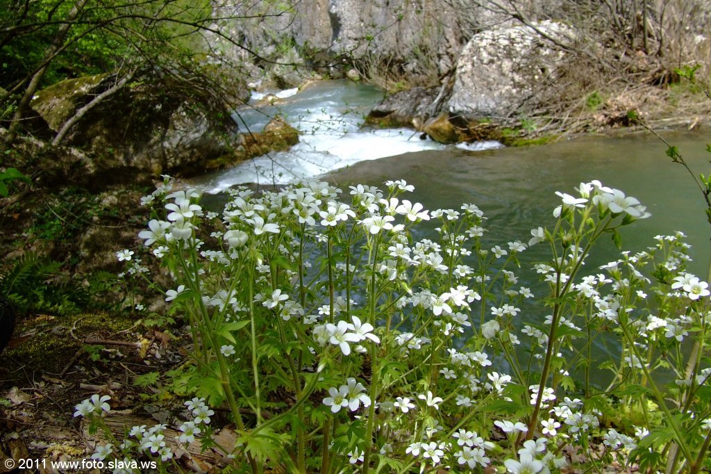 Крым. Чернореченский каньон