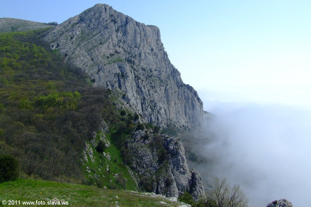 DSCF7569