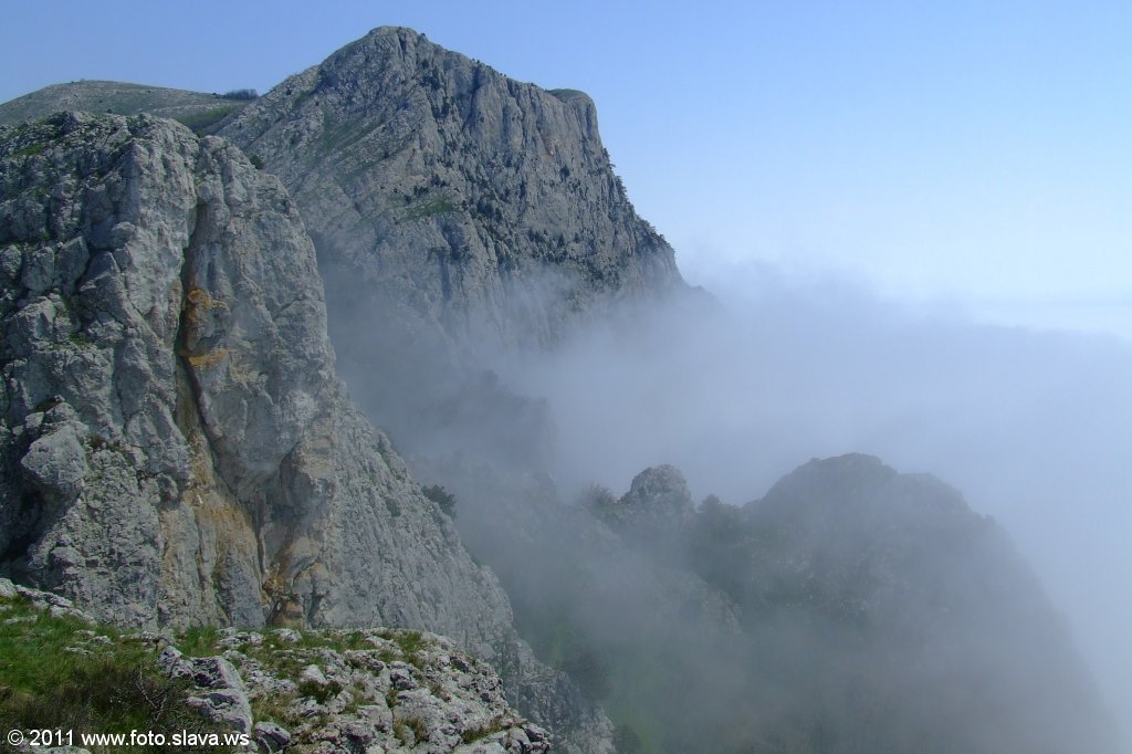 DSCF7586