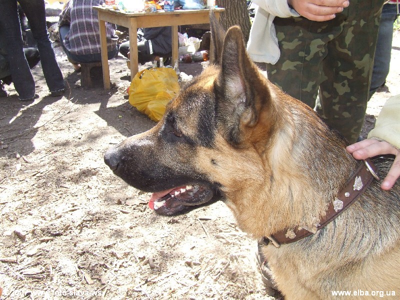 Весенняя Украинская Эльба 2007 г.