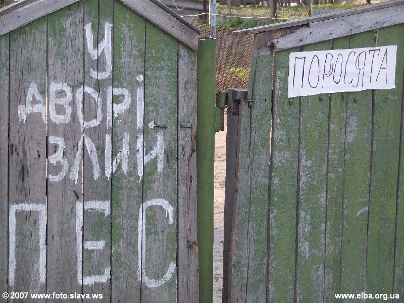 Во дворе злой пес и злые поросята