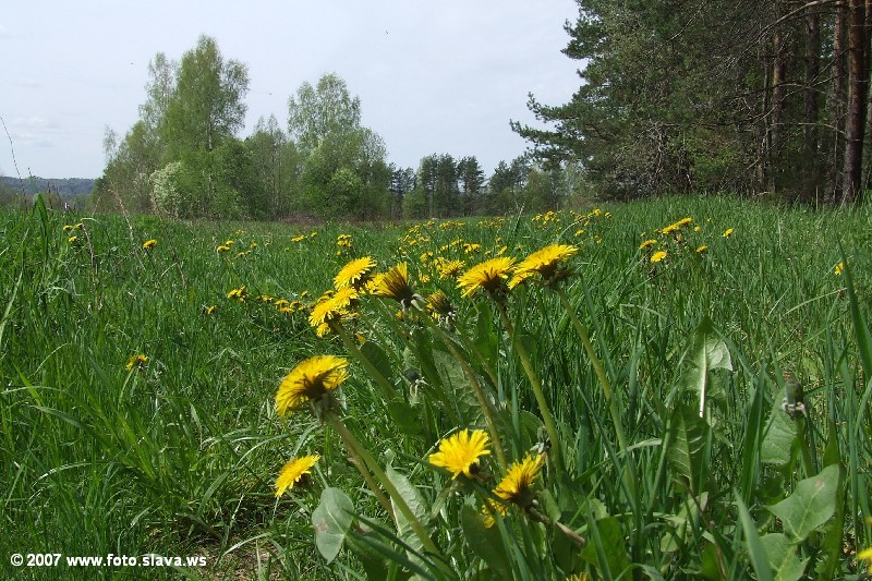 Природа Валдая